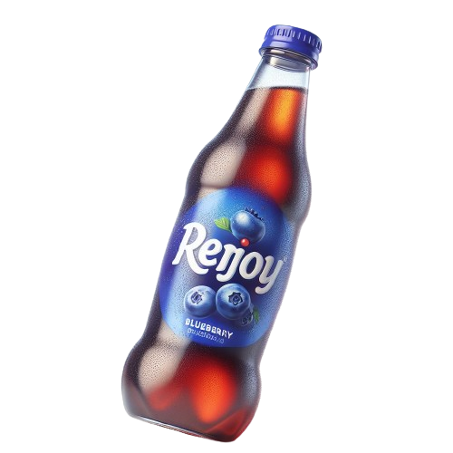 Blueberry Goli Soda - Ruthvek Foods and Beverages Goli Soda